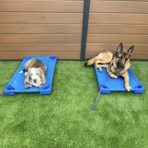 Screenshot 2025 04 07 at 1.20.14 PM